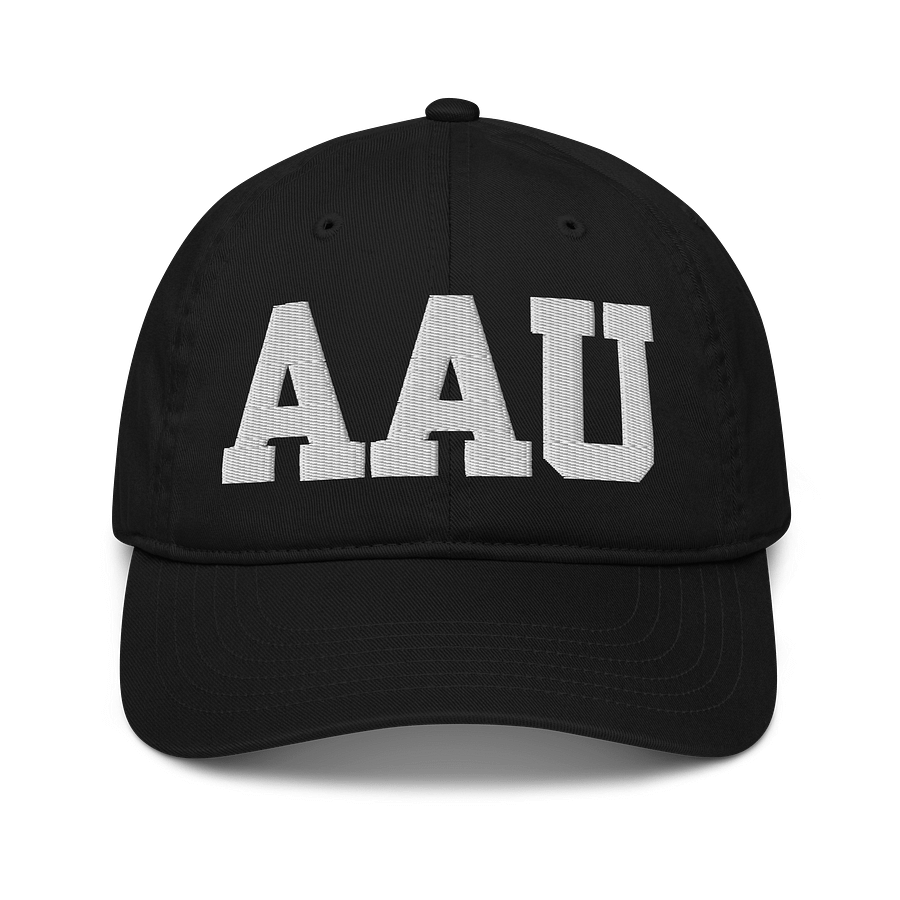 AAU Organic Dad Hat product image (1)