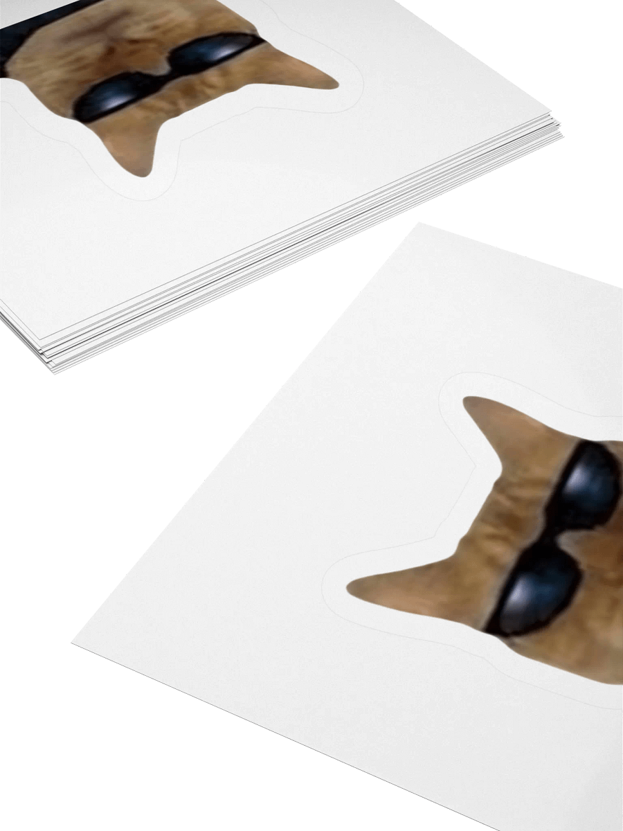 Cool Fuckin' Cat Sticker product image (4)