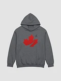 Grey Hoodie 2024 product image (1)