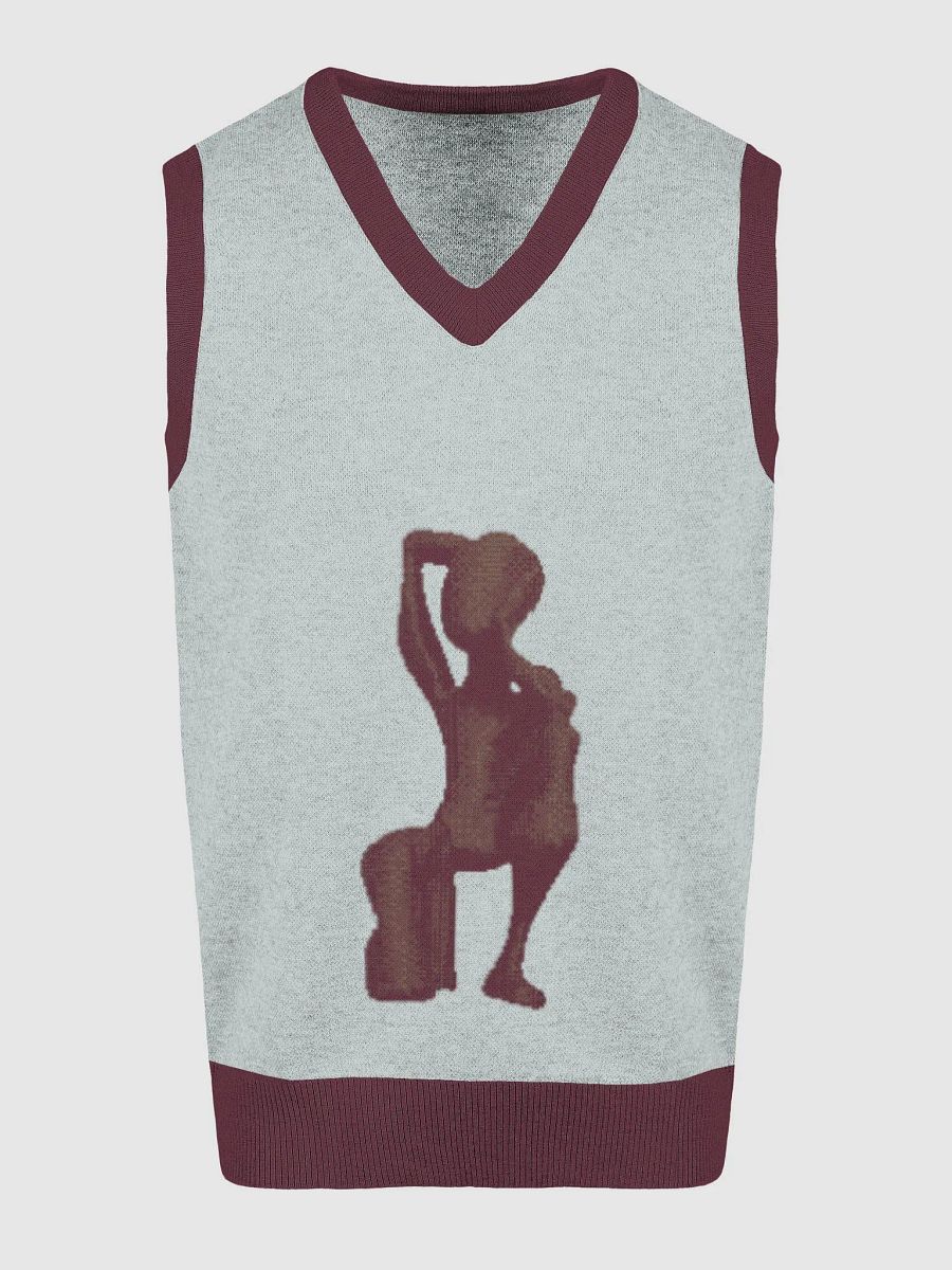 Dynamic Silhouette Knit V-Neck Vest product image (3)