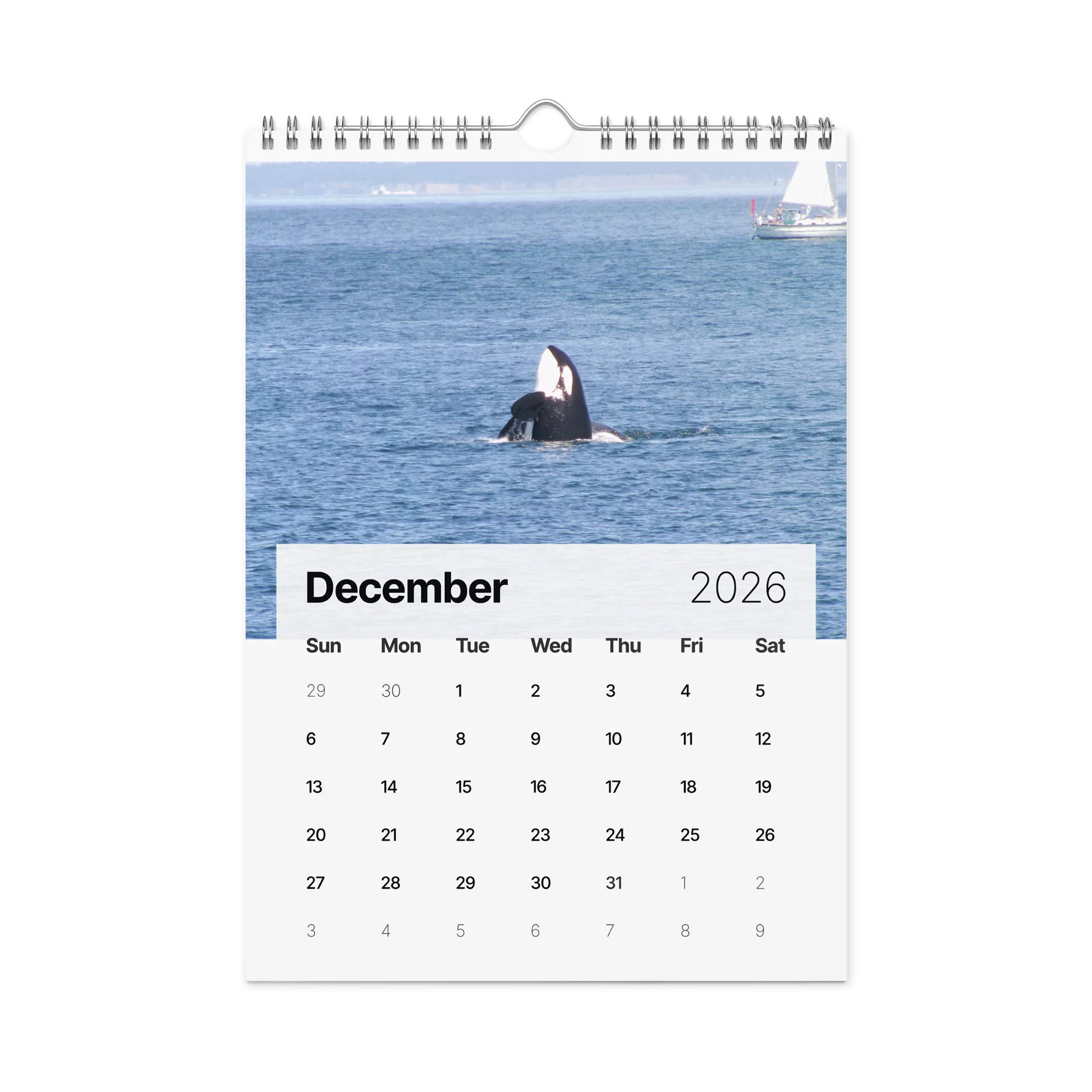 CRAVONE - 2026 Orca Calendar product image (4)