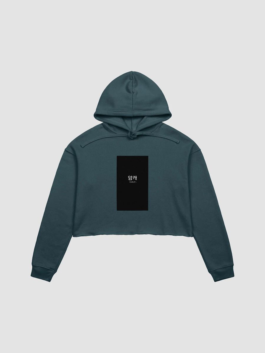 Korean Symbols Bitch Crop Hoodie product image (5)