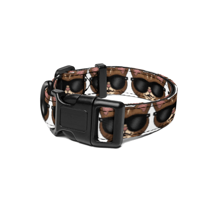 Cool Reggie Pet Collar product image (1)