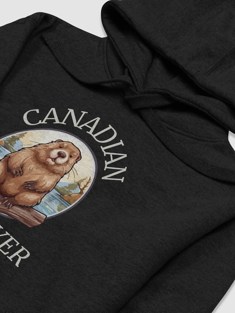 Canadian Destroyer Hoodie product image (3)