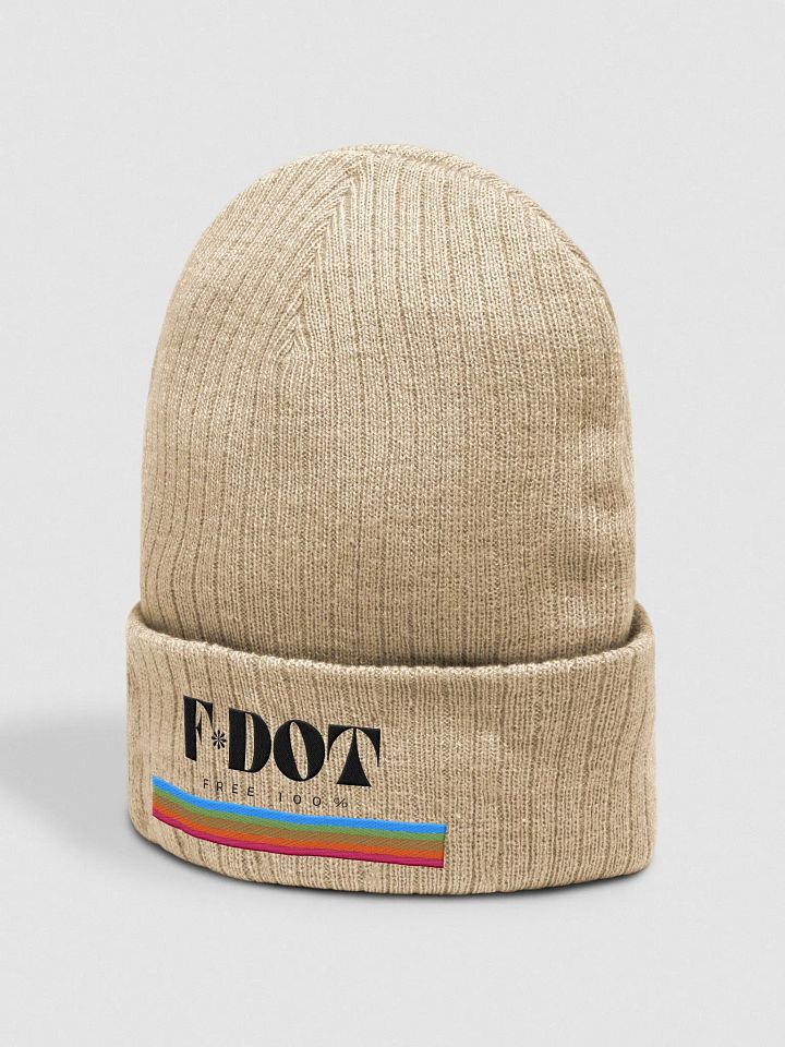 Idiot-Proof Beanie product image (2)