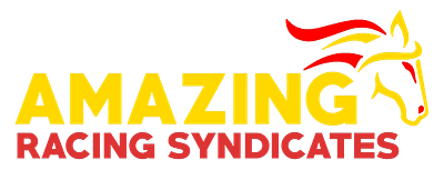 Amazing Racing Syndicates