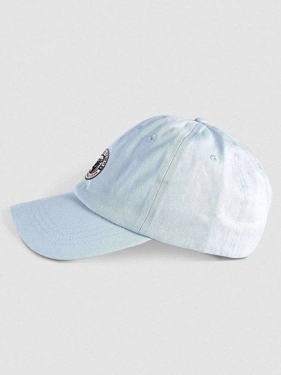 SITFC Pastel Hat product image (10)