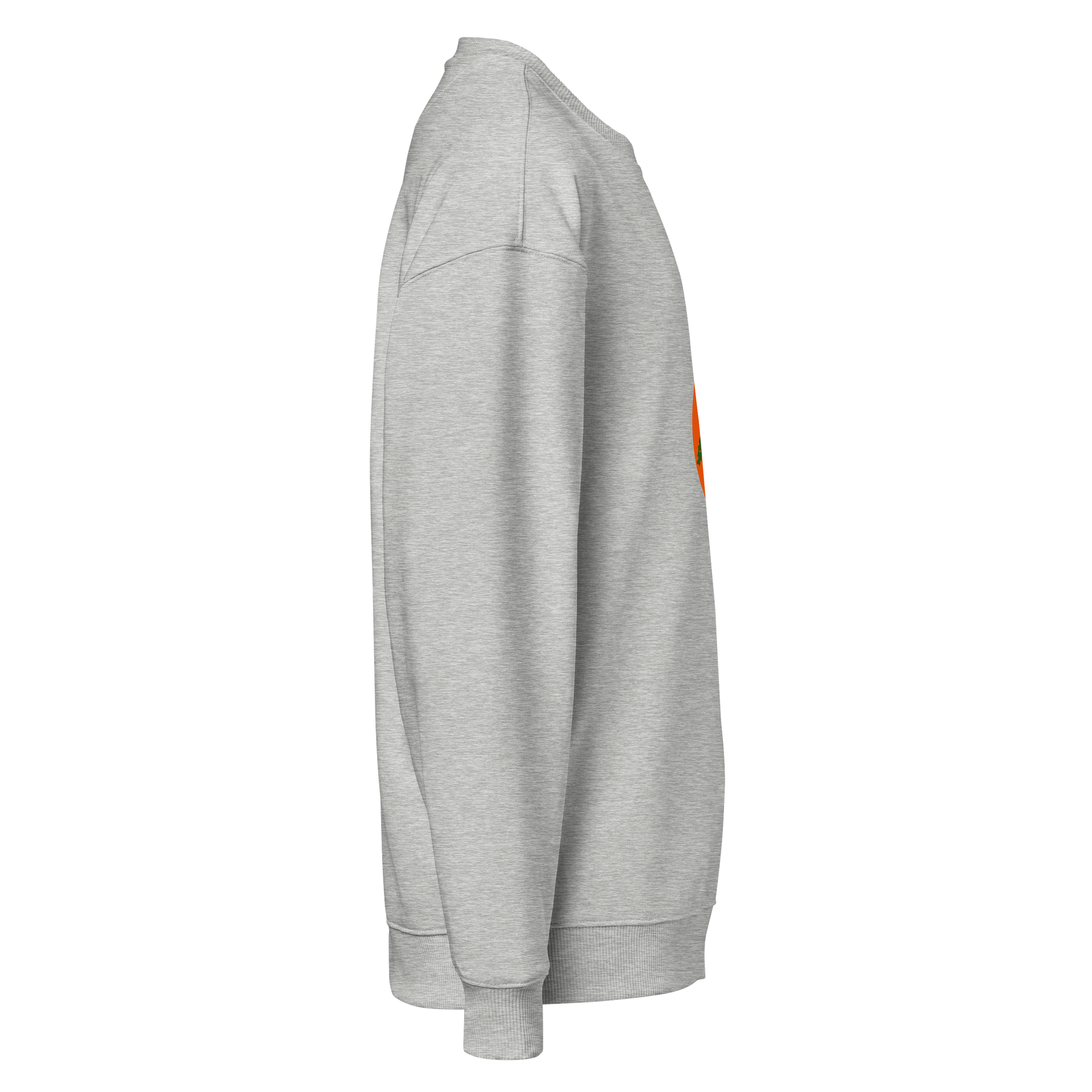 Organic Tree & Sunset Oversized Sweatshirt product image (4)