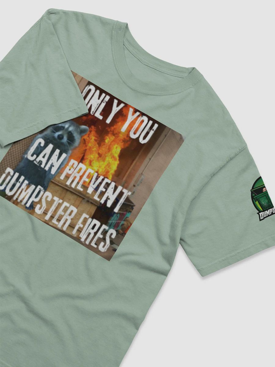 Only You Can Prevent Dumpster Fires T-Shirt product image (30)