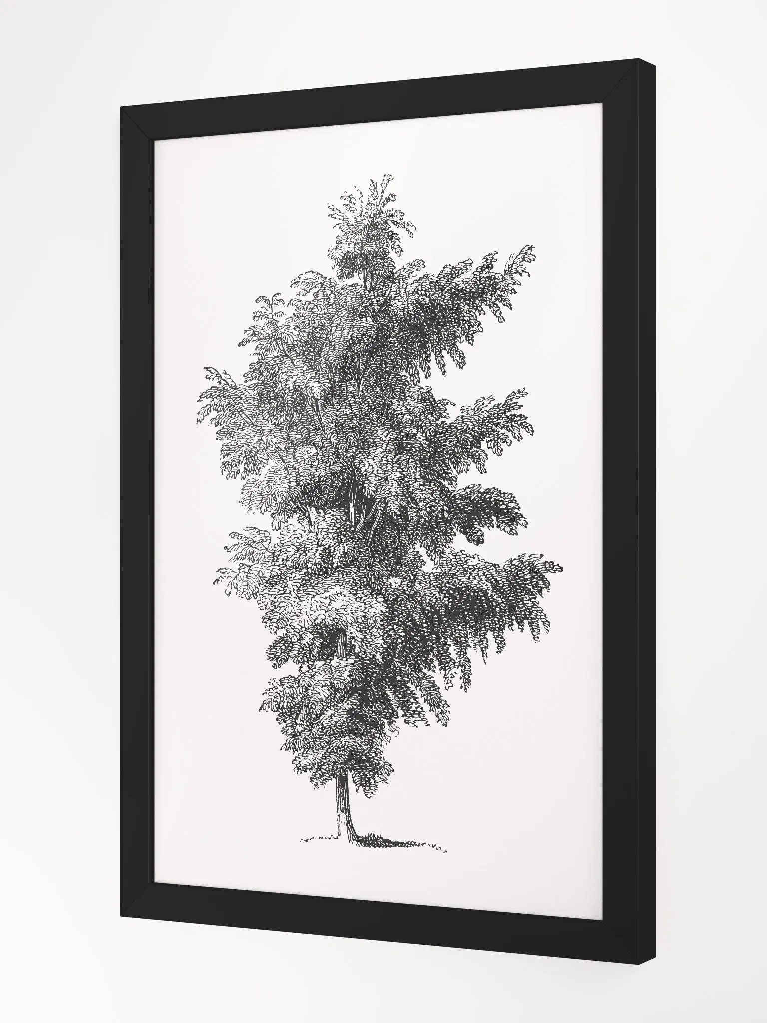 Woodland Trees #1 Framed Print product image (2)