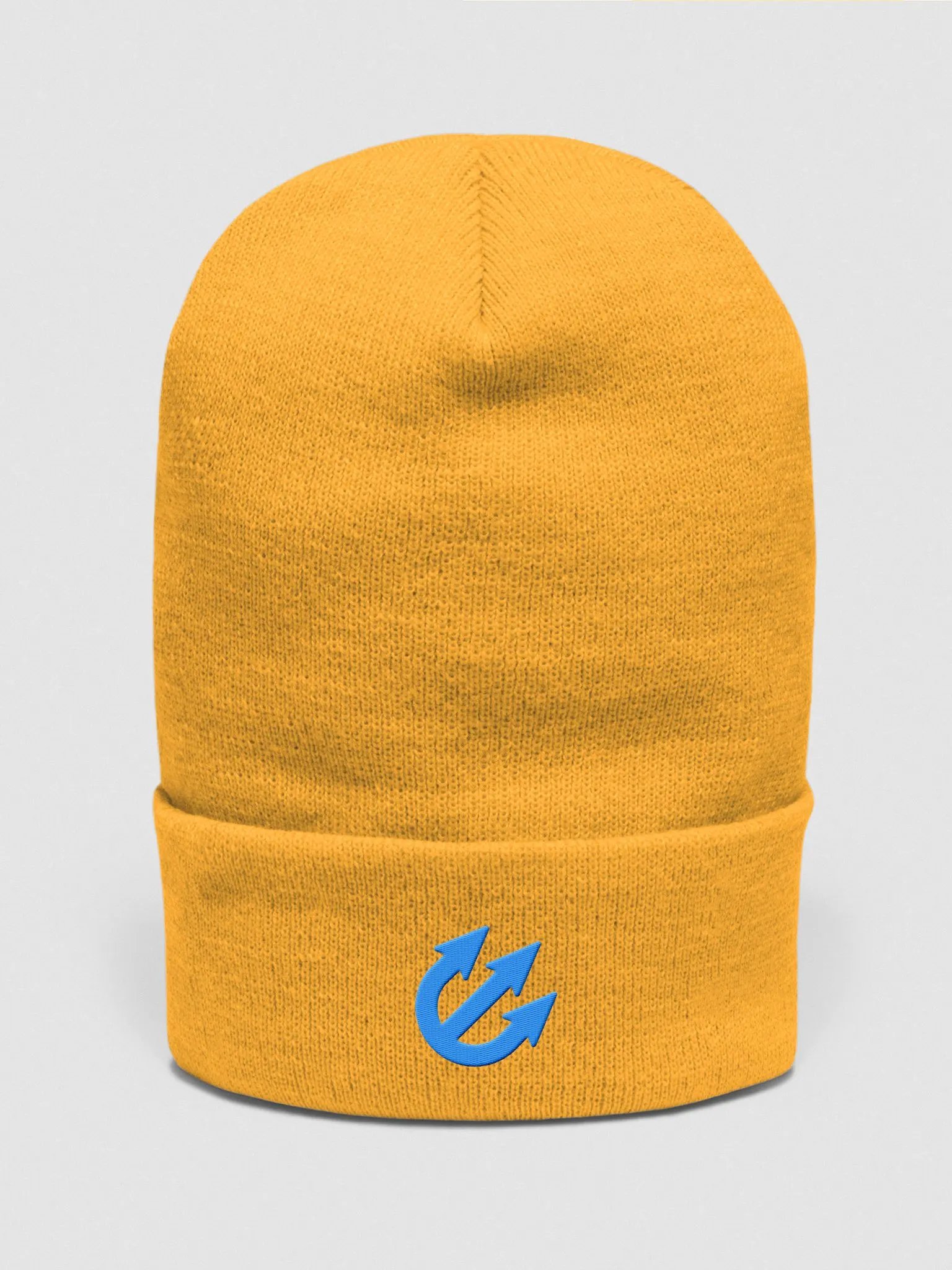 trident Beanie product image (1)