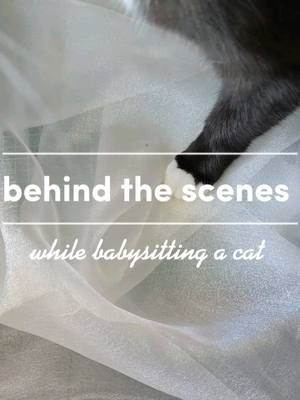A little Behind the scenes of what its like to babysitting a cat and running a small business 🥹 #cat #SmallBusiness #jewelrybusiness #handmadejewelry #jewellery #lychik #lychikingdom #jewelry 