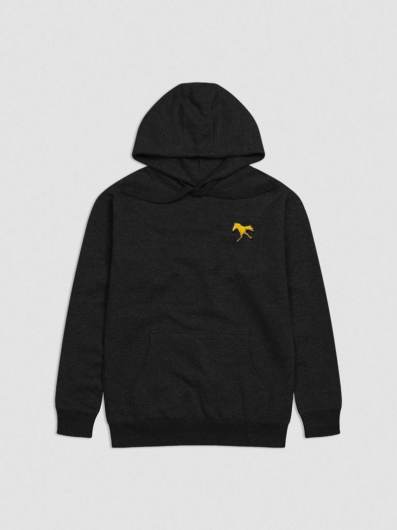 The Horse Run Monthly - Embroidered Hoodie