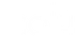 Core Of The Heart
