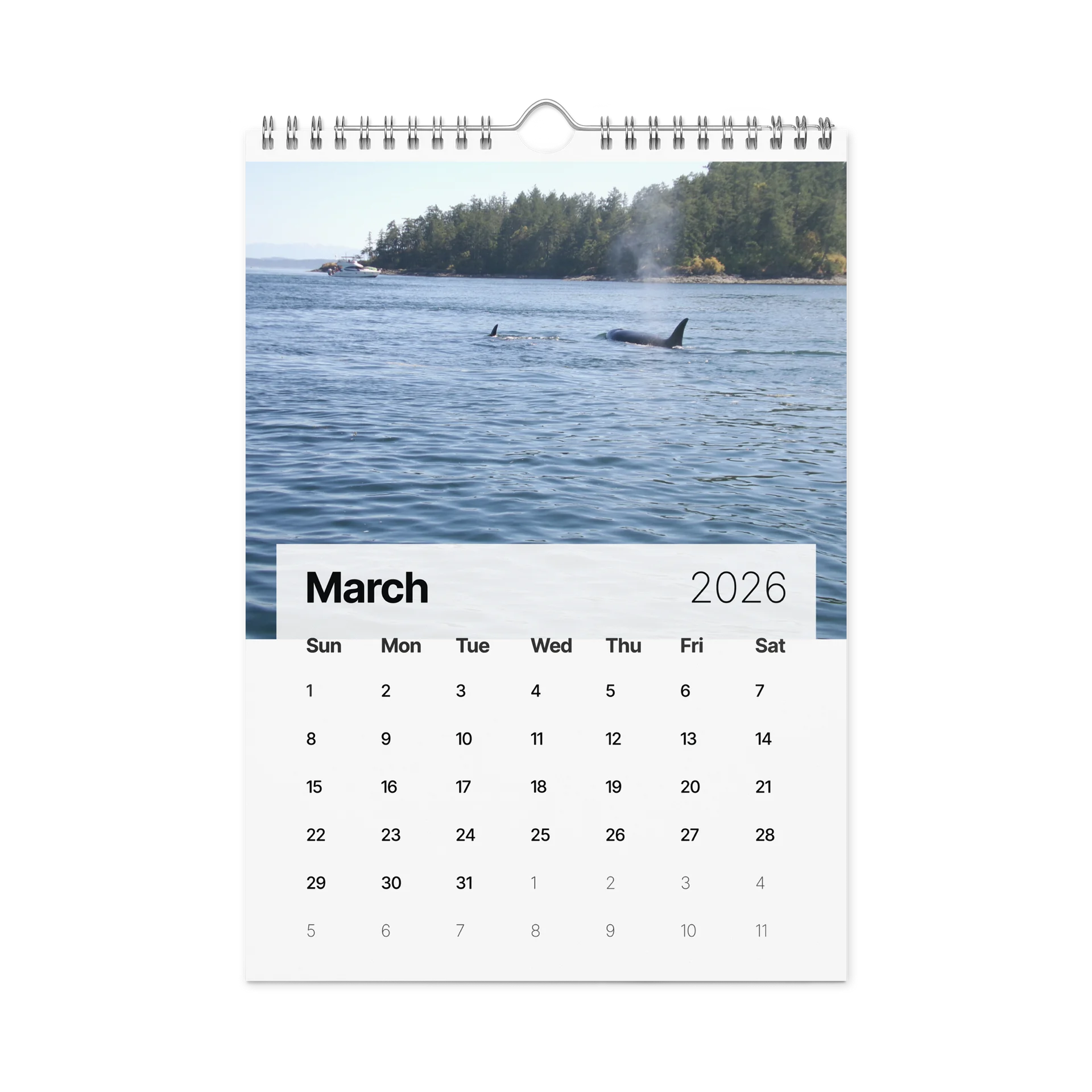 CRAVONE - 2026 Orca Calendar product image (9)