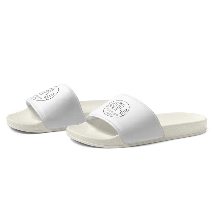 CHICAGO: Slides product image (1)