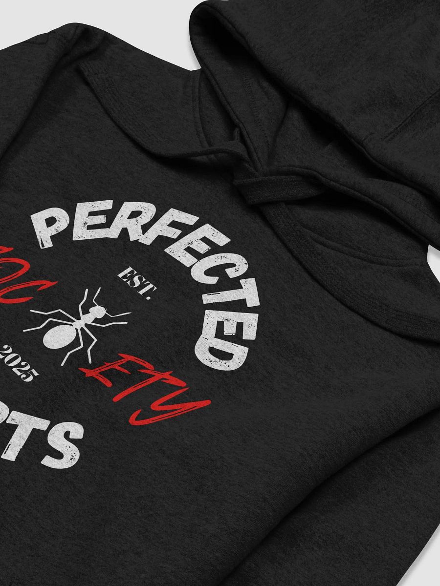 PHS (BLK) Hoodie product image (3)