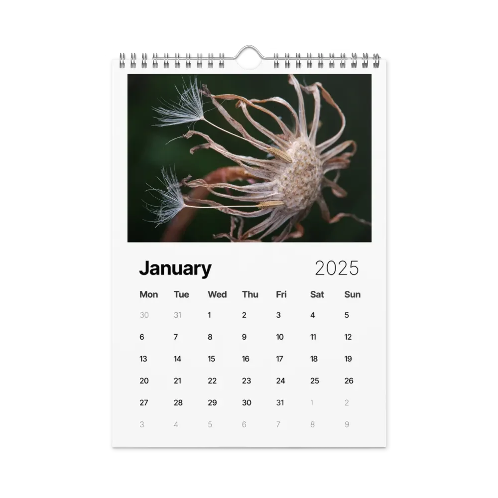 Ephemeral Dandelions 2025 Wall Calendar product image (2)
