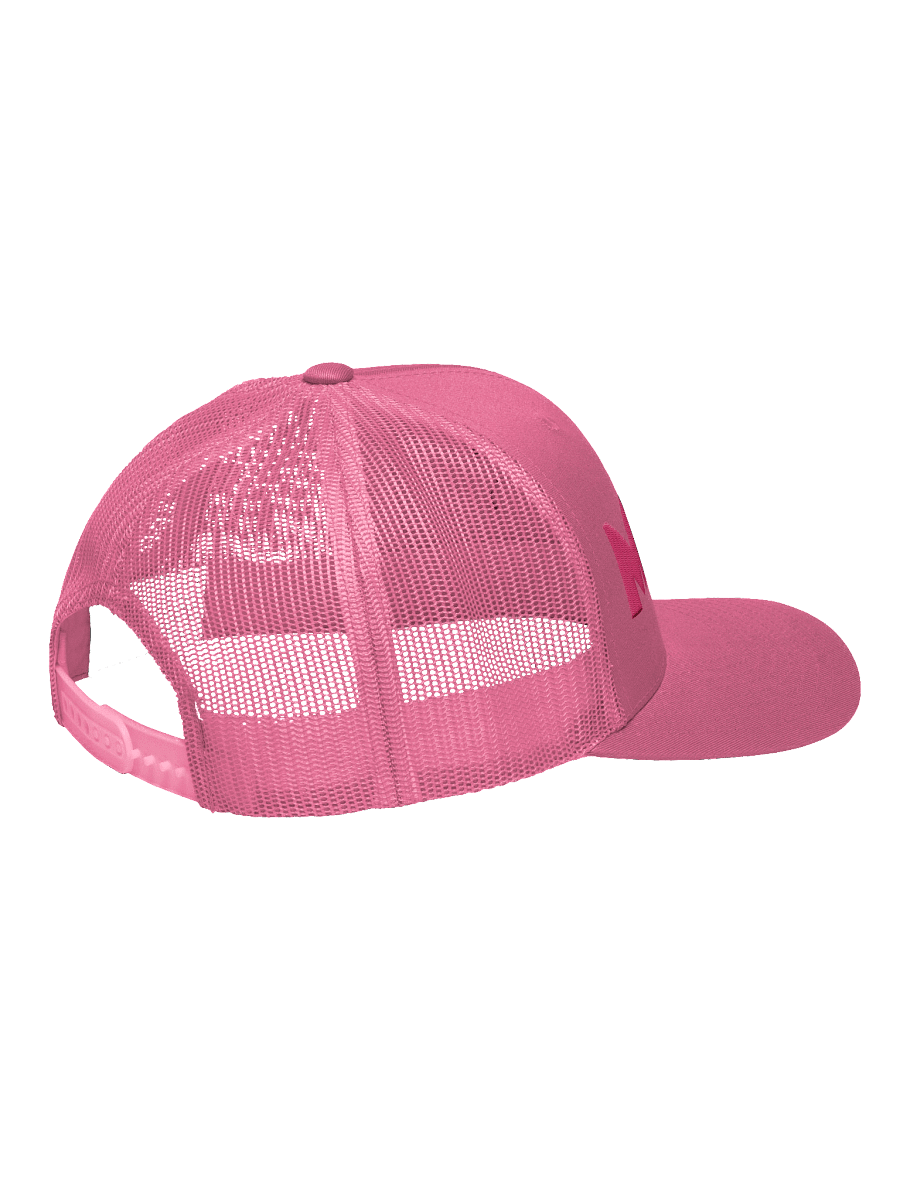Embroidered MEOW Hat - Pink Thread Collection product image (11)