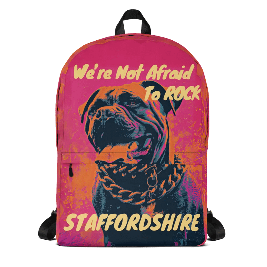 We're Not Afraid To Rock Staffordshire Hoodie product image (4)