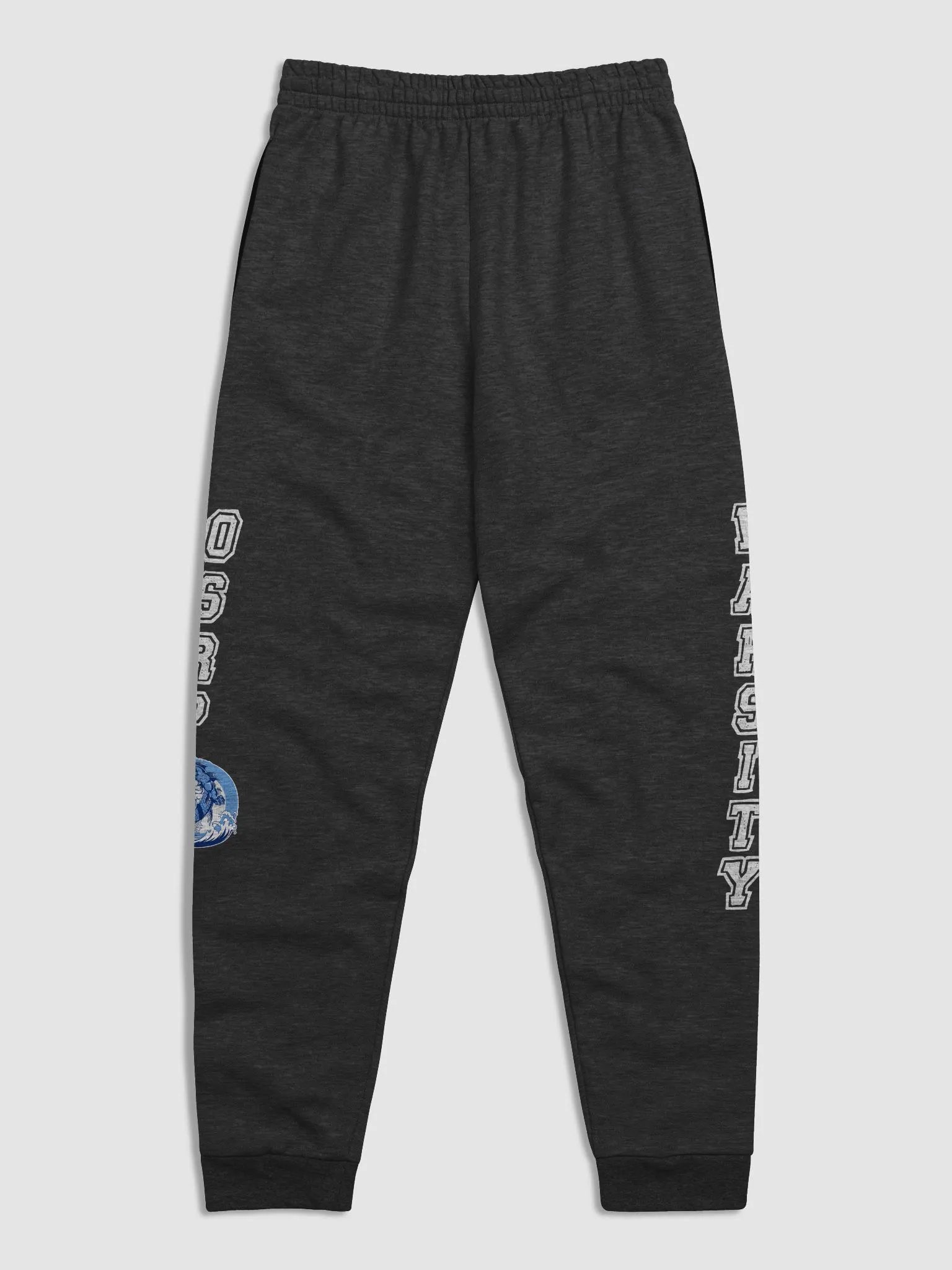 Varsity Joggers product image (5)