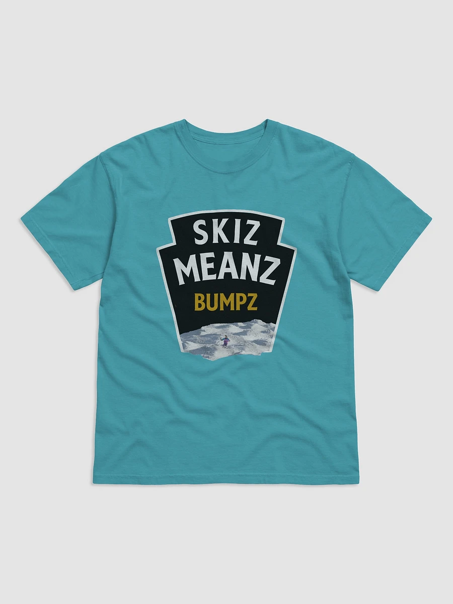 Skiz product image (1)