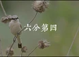 中國哲學's tag thumbnail