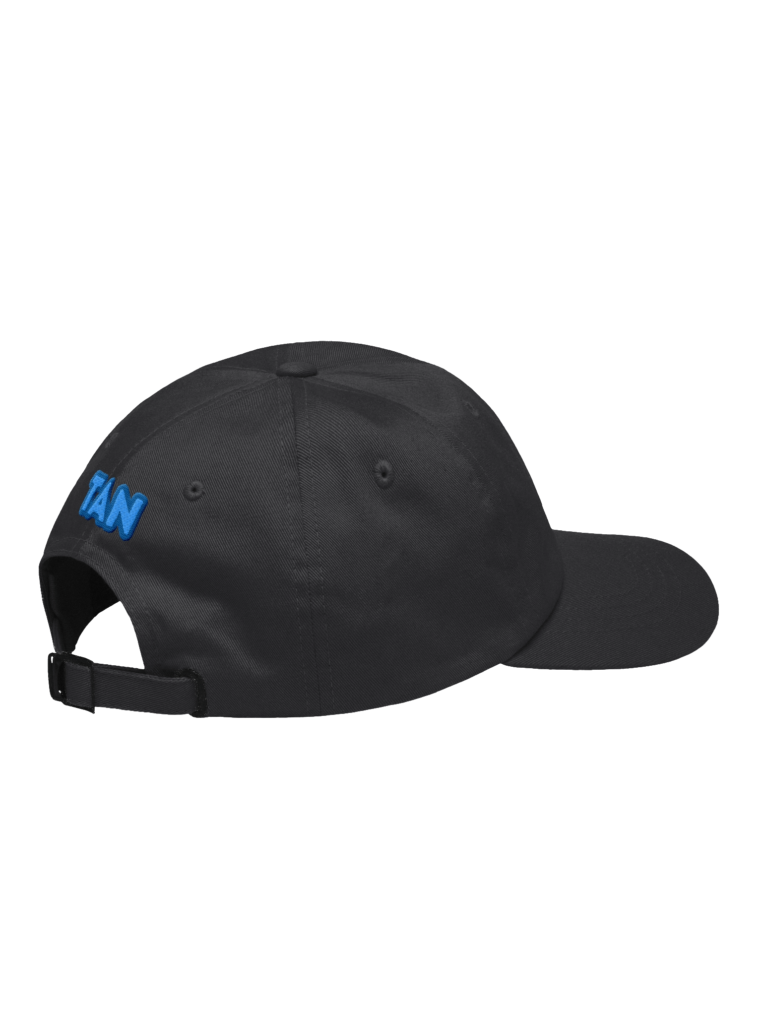 The Advertising Network Dad Hat product image (4)