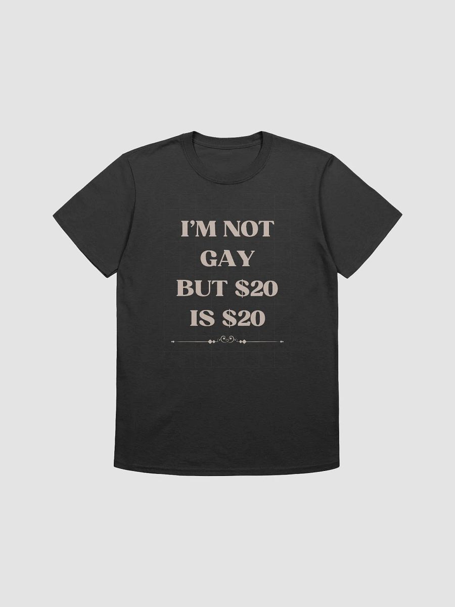 I'm Not Gay But $20 is $20 Unisex T-Shirt V21 product image (1)