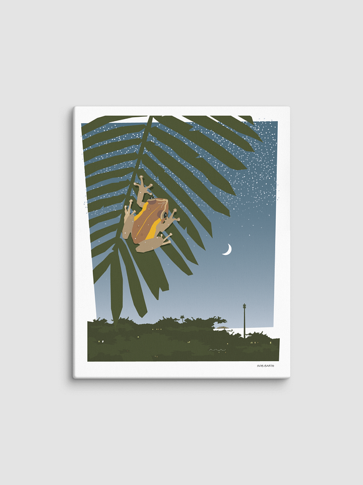 Coqui Canvas Print product image (2)
