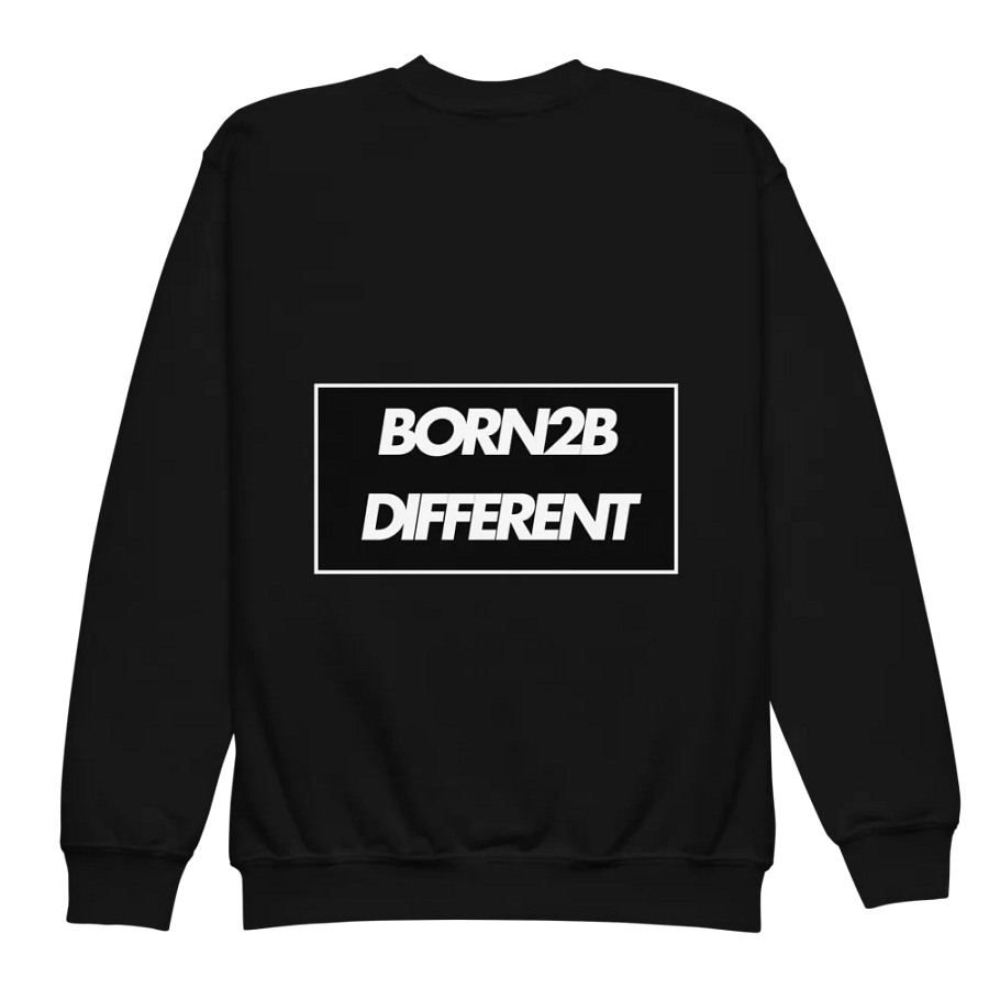 EUPHRATEZ Bold Youth Sweatshirt product image (12)