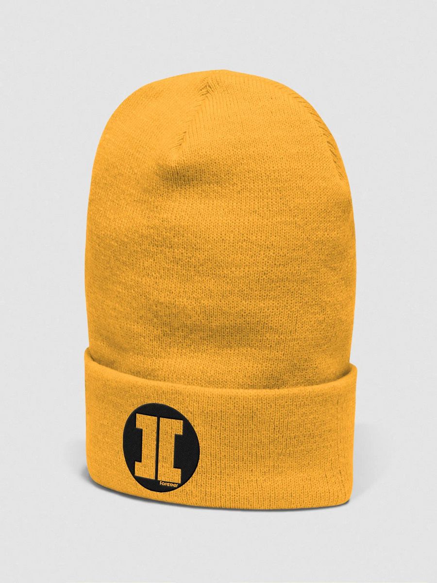 Apple ][ Forever - Beanie product image (8)