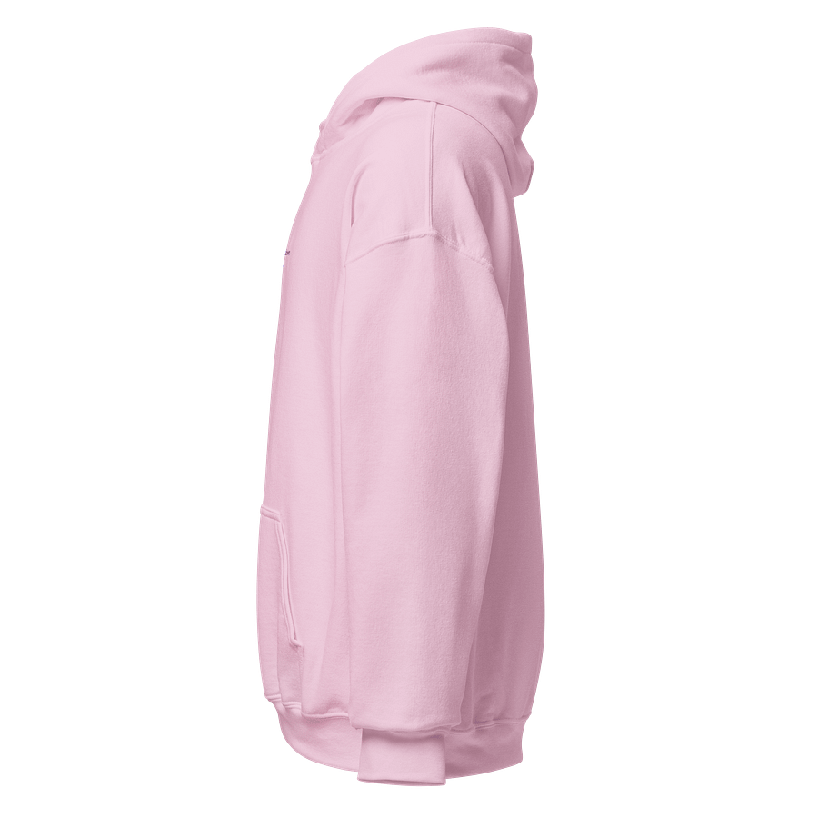 Embroidered Hoodie product image (2)