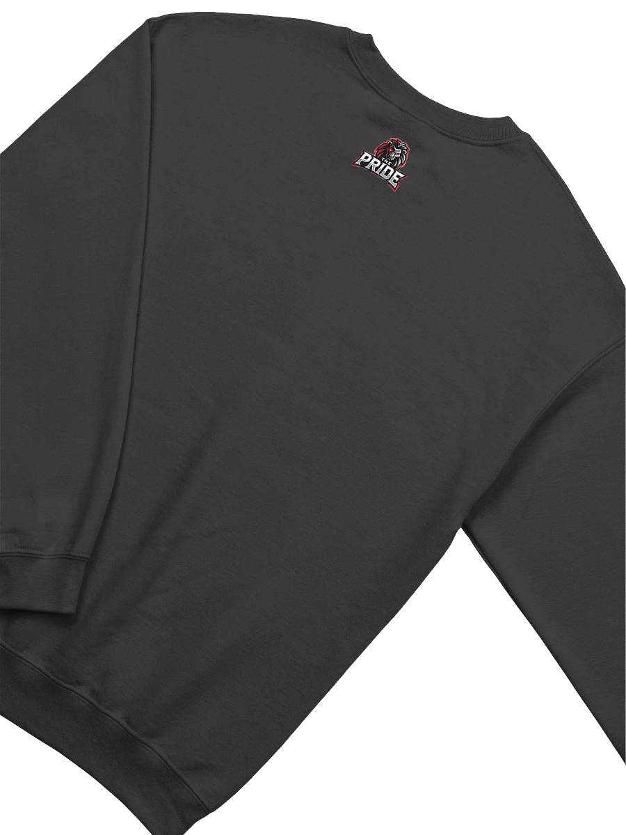The Pride Crew Neck product image (4)