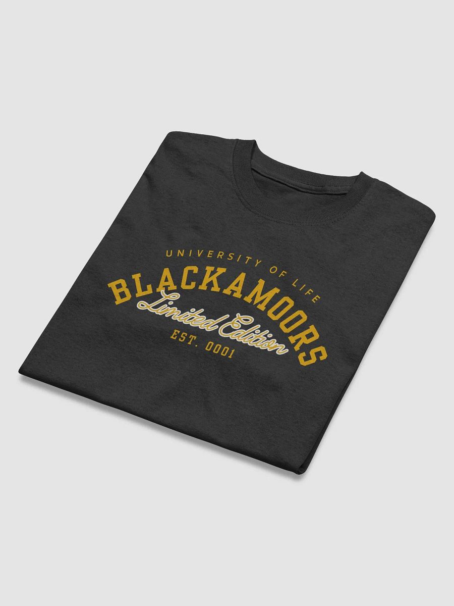 Blackamoors University product image (4)