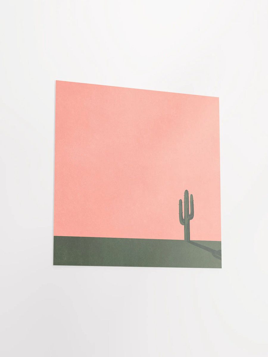 Cactus product image (3)