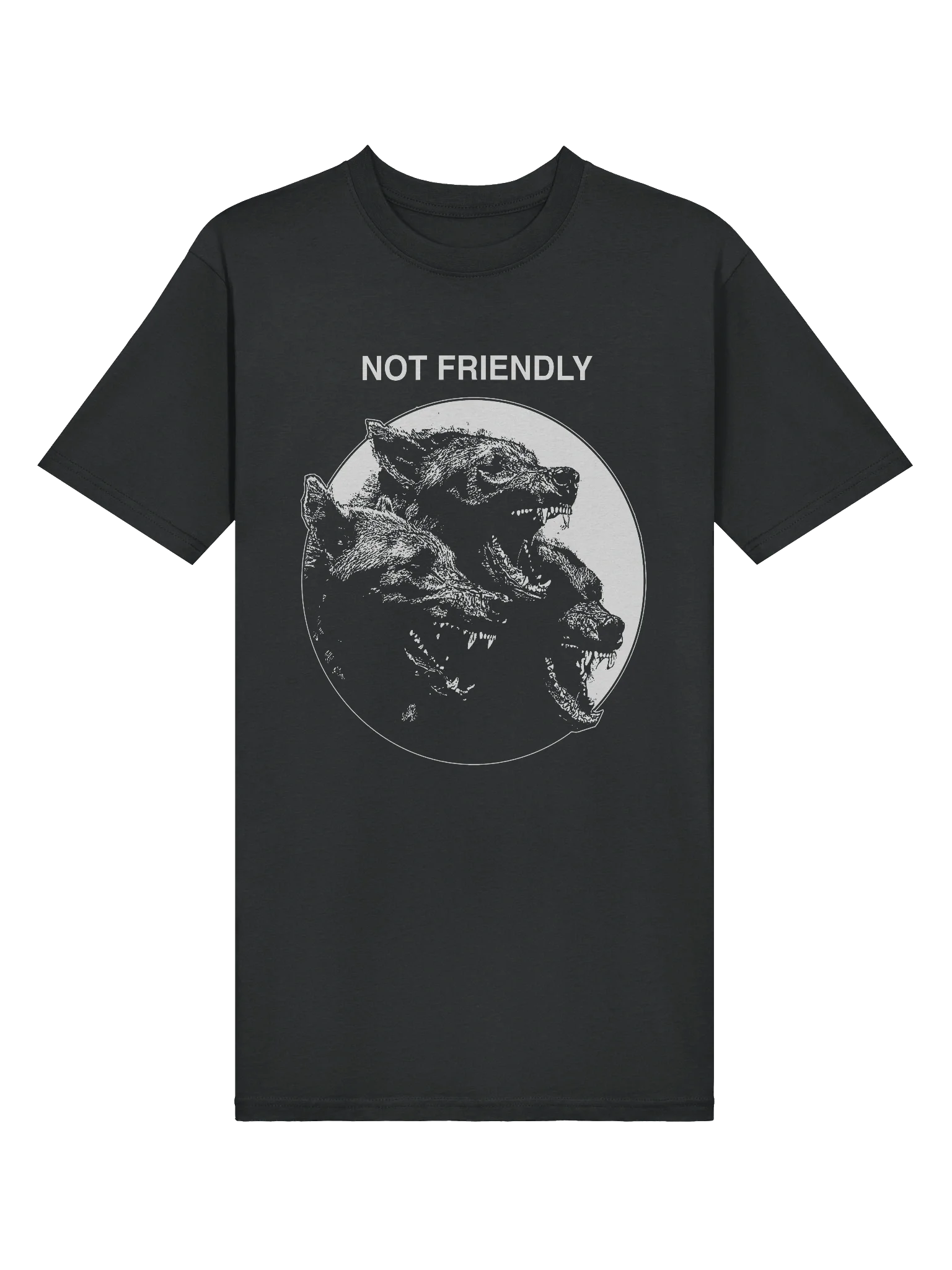 NOT FRIENDLY product image (3)