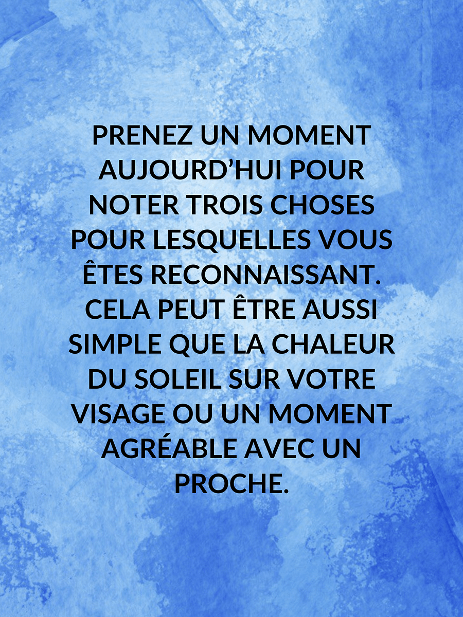 Vivre avec gratitude : un journal inspirant de 30 jours product image (5)