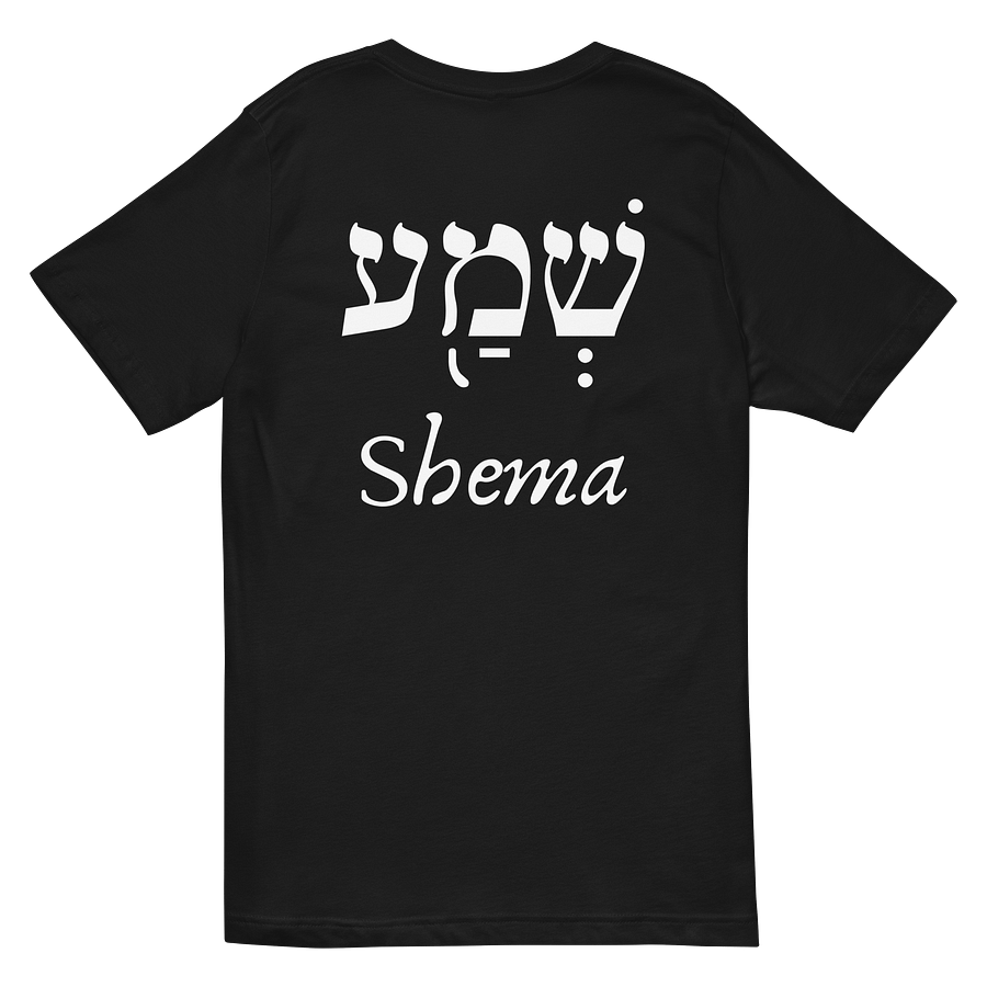 The Great Shema V-Neck Tee product image (6)