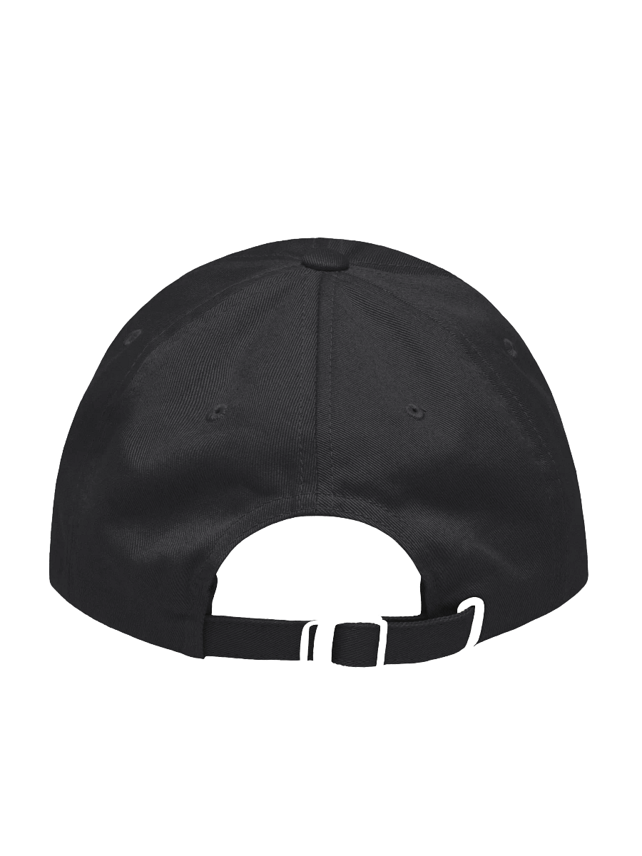 DOGE Hat – Department of Government Efficiency Cap | Elon Musk Dad Hat product image (2)