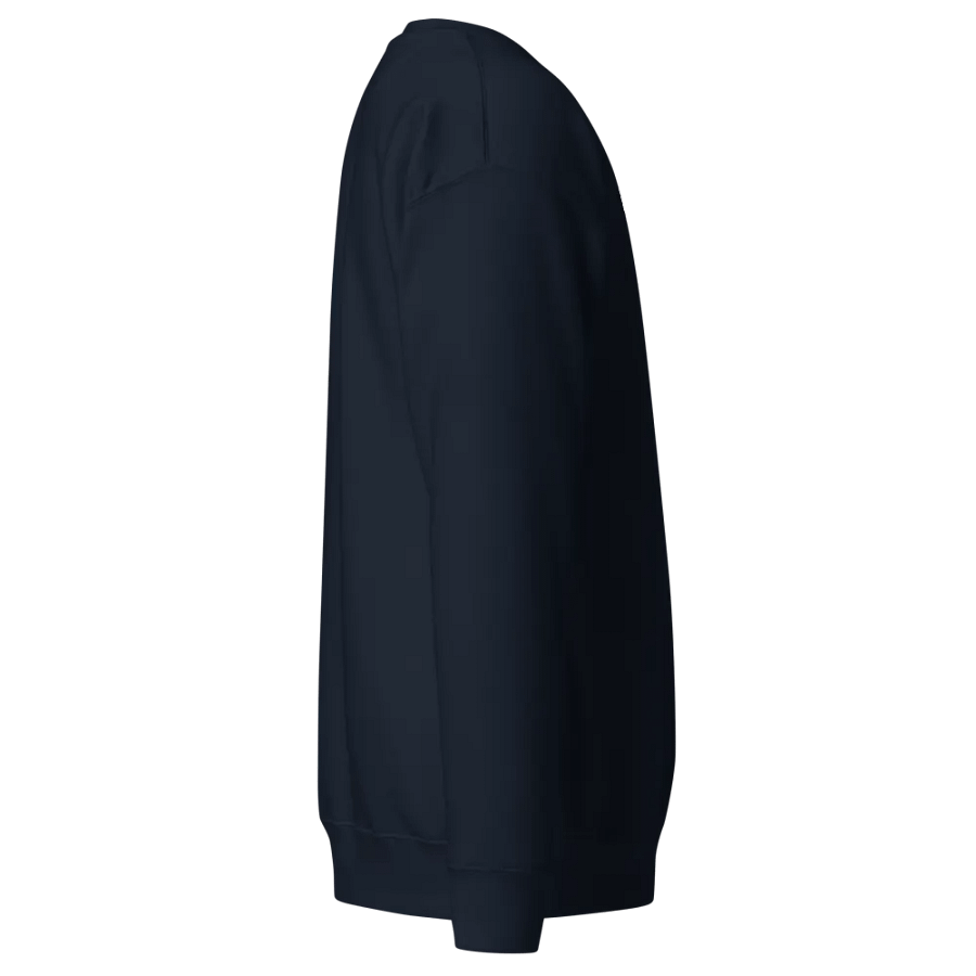 BUF Staircase Embroidered Sweatshirt product image (3)