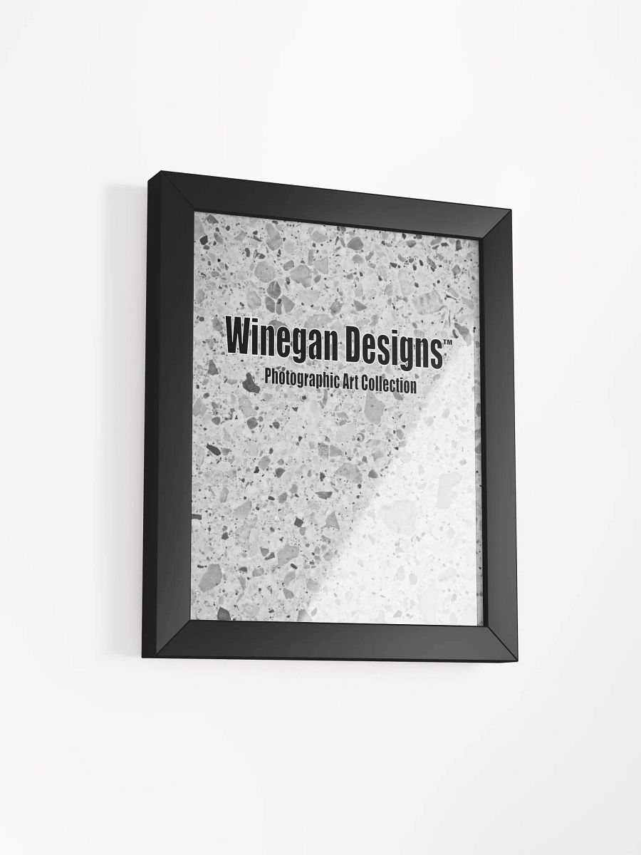 Winegan Designs™ Photographic Art Collection Matte Poster in Ayous Wood Frame product image (9)