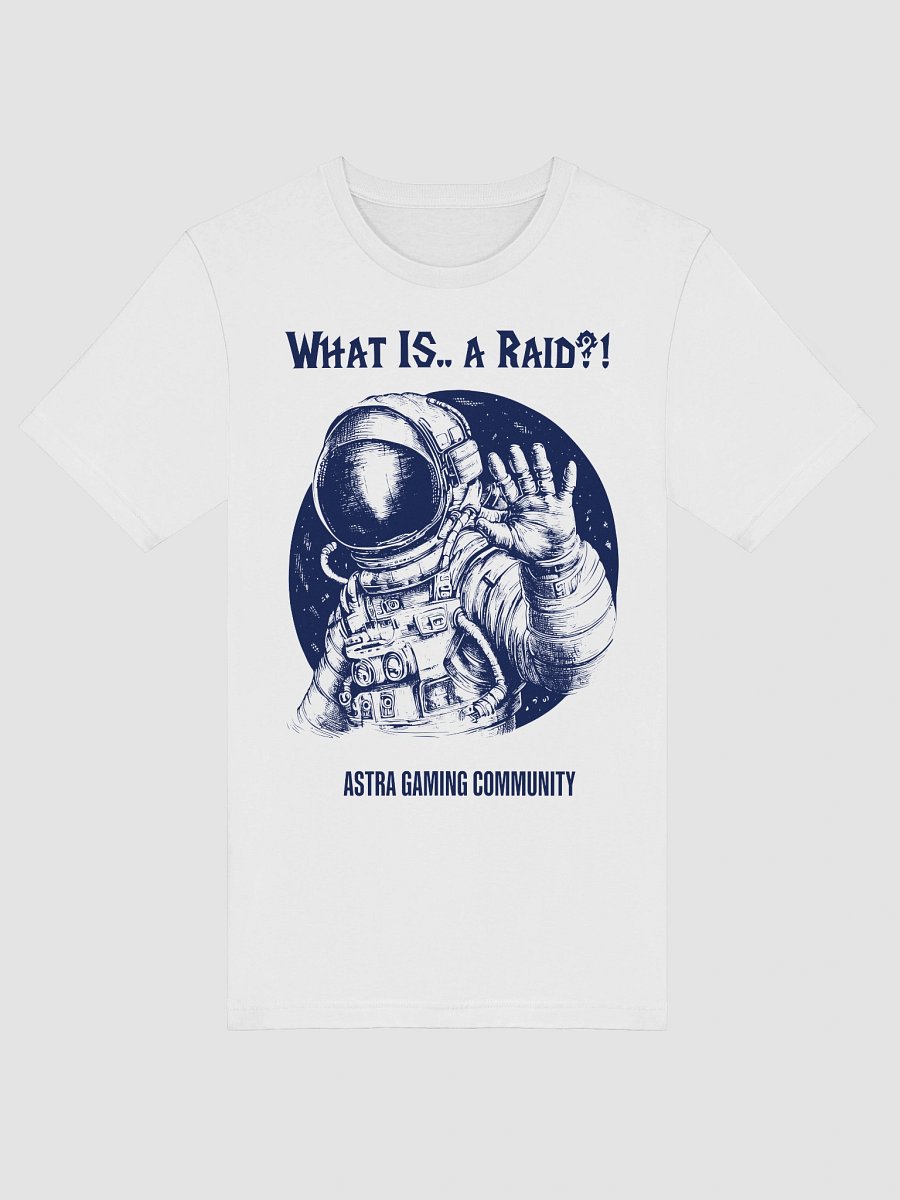 What is... a Raid? product image (5)