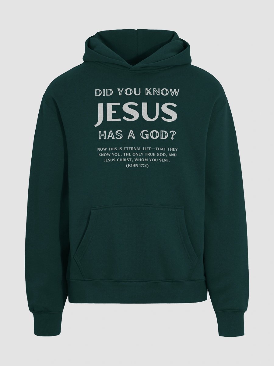 Jesus Has a God Premium Oversized Hoodie product image (7)