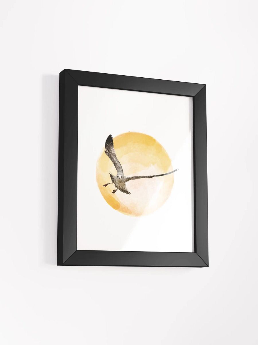 Young Sun Gull Framed Print product image (44)