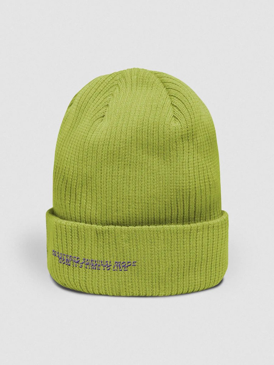 Survival Mode OFF : Knit Beanie product image (8)