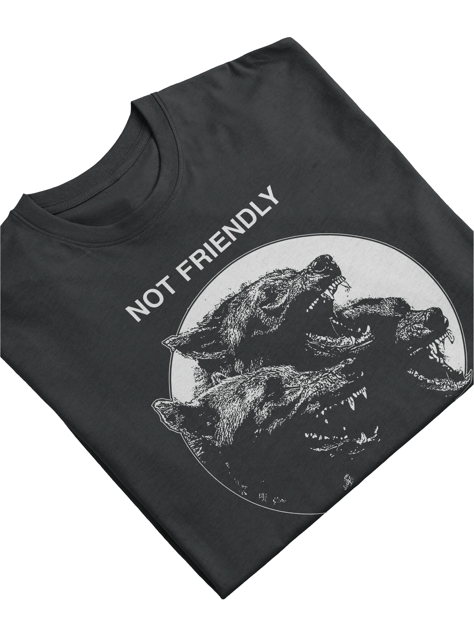 NOT FRIENDLY product image (11)