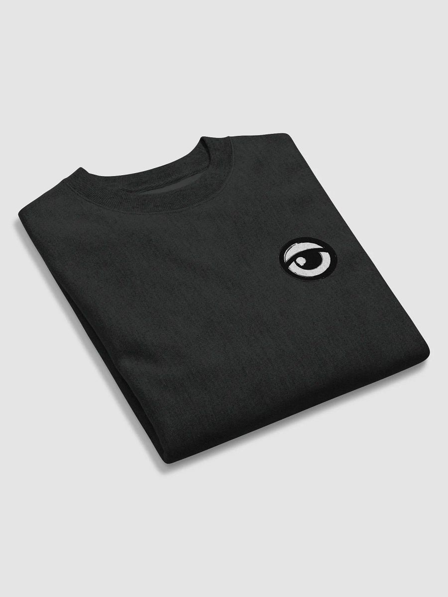 Power Surge Champion Pullover (B) product image (5)