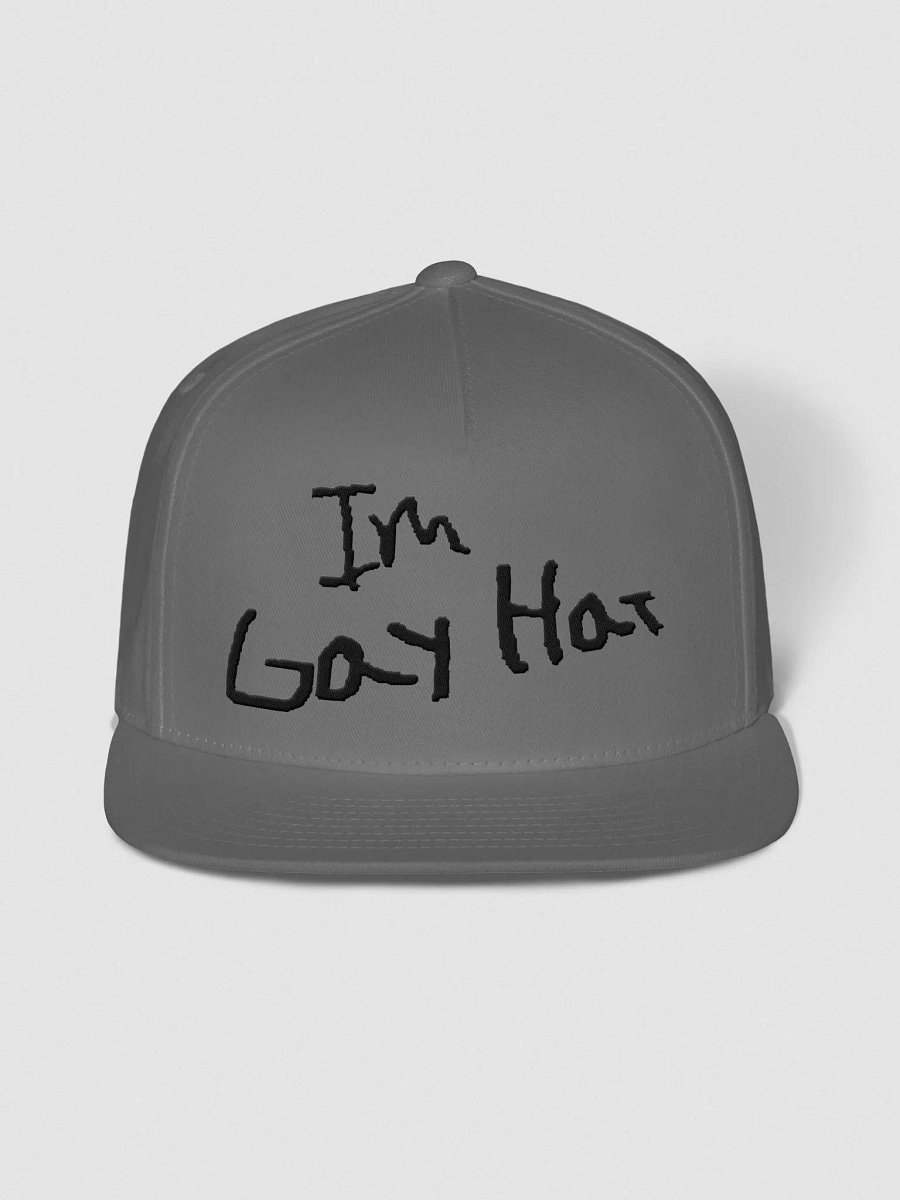 Gay hat pt.2 product image (1)