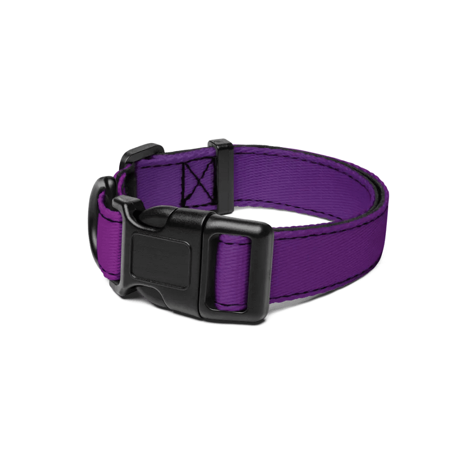 Collier Pour Animaux Dégradent product image (1)
